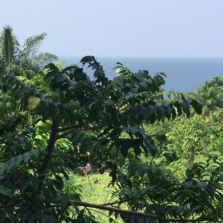 Roca Monte Forte Villa Neves Kültér fotó